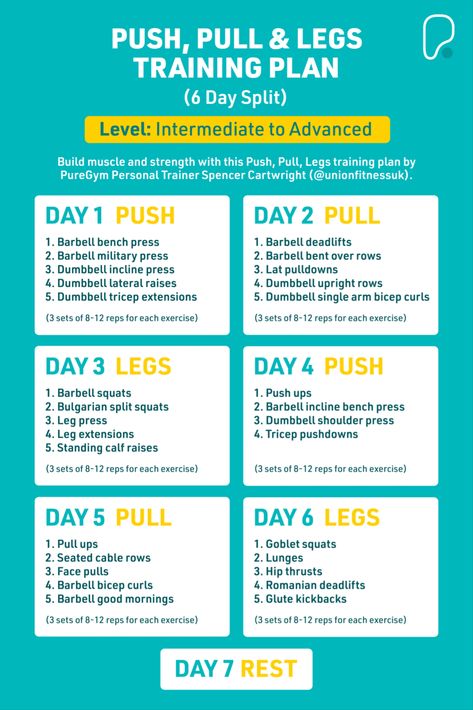 7 Day A Week Workout Plan, 6 Day Gym Workout Plan Men, 6 Days Workout Plan Gym For Men, 6 Day Gym Workout Plan For Women, 6 Week Workout Plan Gym, Gym Schedule Men, Push Pull Legs Workout Plan For Women, 6 Day Workout Split Women, Gym Programs