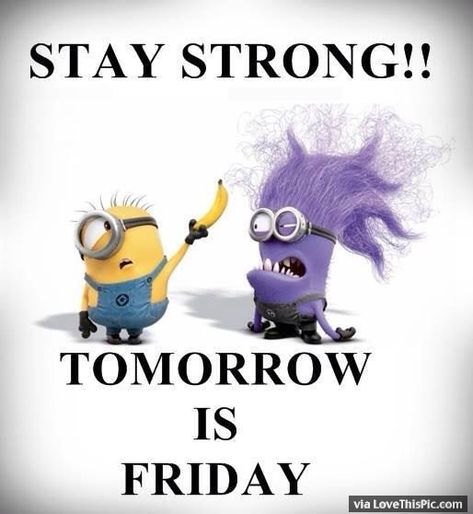 Stay Strong Tomorrow Is Friday minion minions thursday thursday quotes tomorrows friday happy thursday thursday quote minion quotes happy thursday quote Funny Thursday Quotes, Tomorrow Is Friday, Tgif Funny, Thursday Humor, Friday Pictures, Happy Thursday Quotes, Thursday Quotes, Minion Pictures, Friday Quotes Funny