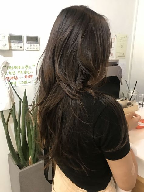 Korean Haircut Long, Hush Cut, Hair Inspiration Long, Haircuts For Medium Hair, Hair Color And Cut, Long Layered Hair, Long Wavy Hair, Haircuts For Long Hair, Asian Hair