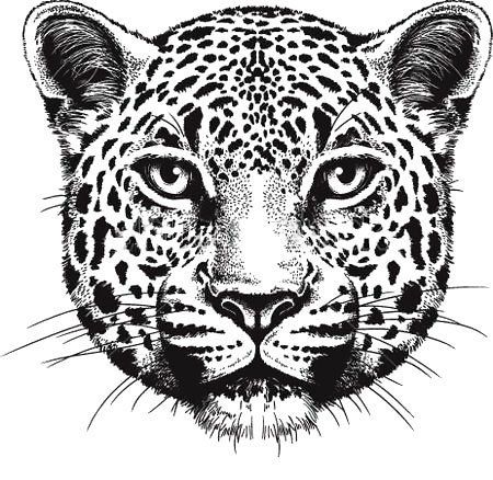 Leopard Face Tattoo Design - Beautiful black leopard face. Leopard Face Tattoo, Face Tattoo Design, Tattoo Clipart, Leopard Drawing, Gecko Habitat, Jaguar Tattoo, Cheetah Face, Tier Tattoo, Leopard Tattoos