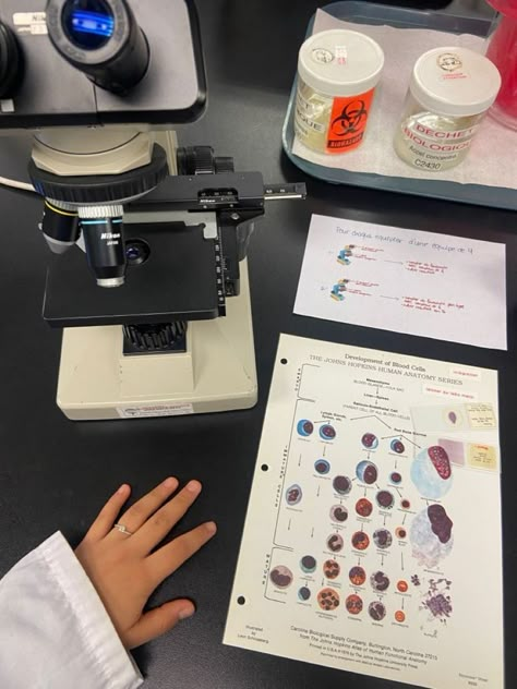 Biology Girl, Lab Aesthetic, Woman In Stem, Biology Aesthetic, Science Aesthetic, Biology Major, Science Girl, Medical School Life, Biology Labs