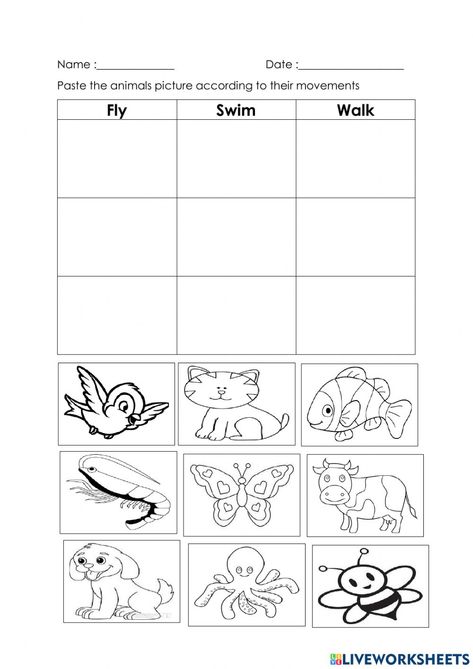 Animals Movement Worksheet, Animal Movement Activities, Animal Body Parts Worksheet, Diwali Homework, Preschool Pattern Worksheets, Movement Of Animals, Movement Preschool, English Activity, Preschool Patterns