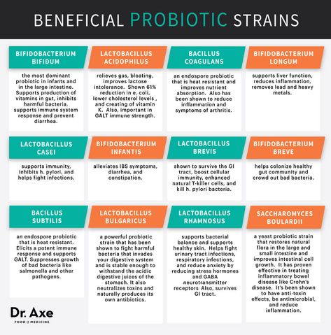 Millennial Magazine-Probiotics What Are Probiotics, Excellent Health, Probiotic Strains, Relieve Gas, Tomato Nutrition, Probiotic Benefits, Coconut Benefits, Probiotic Foods, Healthy Gut