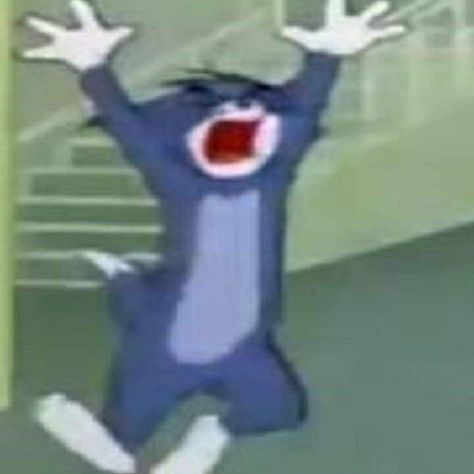 Tom And Jerry Meme, Tom And Jerry Funny, Tom And Jerry Memes, Tom And Jerry Pictures, Tom Et Jerry, Packing Orders, Tom And Jerry Cartoon, Cartoon Memes, Funny Picture Quotes