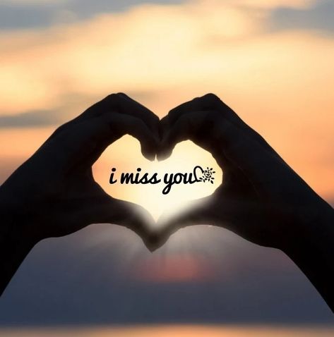 Without You Quotes, Miss You Images, Dolphin Photos, I Miss You Quotes For Him, Missing You Quotes For Him, Missing Quotes, Love My Husband Quotes, Love Wallpaper Download, Blue Moon Photography