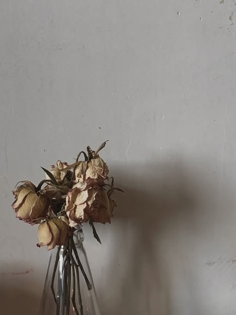 Dried Flowers Aesthetic Wallpaper, Overgrown Roses, Rotting Flowers, Rotten Flowers, Jj Tattoo, Blank Pages Aesthetic, Rotting Aesthetic, Flowers Wilting, Dried Flowers Aesthetic