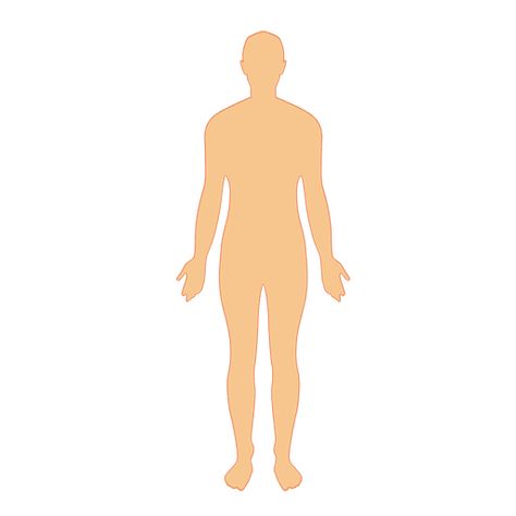 Human body man #AD , #Paid, #Affiliate, #man, #body, #Human Human Decomposition, Facts About Health, Body Png, Body Man, Human Body Model, Man Png, Cartoon Body, Free Psd Design, Playdough Activities