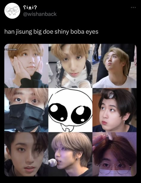 Han Jisung Cute, Quokka Baby, Cute Quokka, Jisung Cute, Boba Eyes, Han Quokka, Baby Squirrel, Skz Memes, Skz In Cute