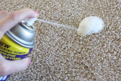 Stains Out Of Carpet, Homemade Toilet Cleaner, Clean Baking Pans, Stain Remover Carpet, Removing Carpet, Cleaning Painted Walls, Carpet Cleaning Hacks, Glass Cooktop, Deep Cleaning Tips