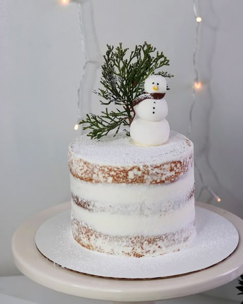 Snow Man Birthday Cake, Naked Winter Cake, Snowman Smash Cake, Naked Christmas Cake, Snow Birthday Cake, Christmas Naked Cake, Winter Cakes Birthday, Birthday Cake Winter, Simple Christmas Cakes