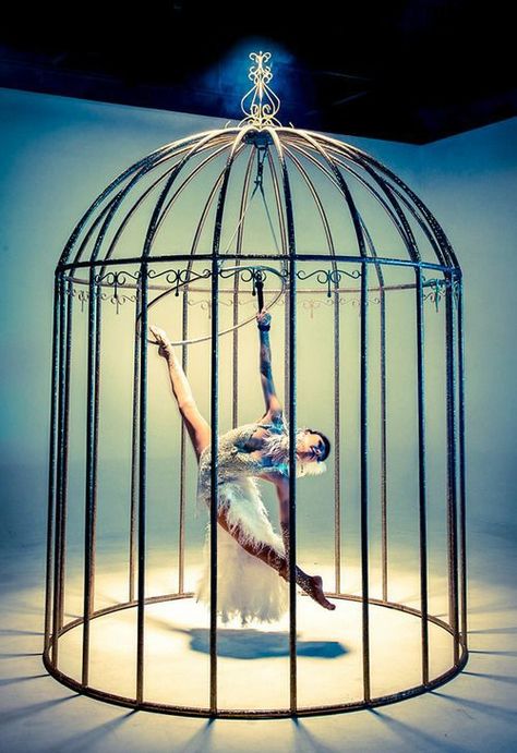 Bird Cage Aesthetic, Cage Aesthetic, Cage Dancer, Bird In A Cage, Dark Circus, The Caged Bird Sings, Night Circus, Yoga Iyengar, Aerial Arts