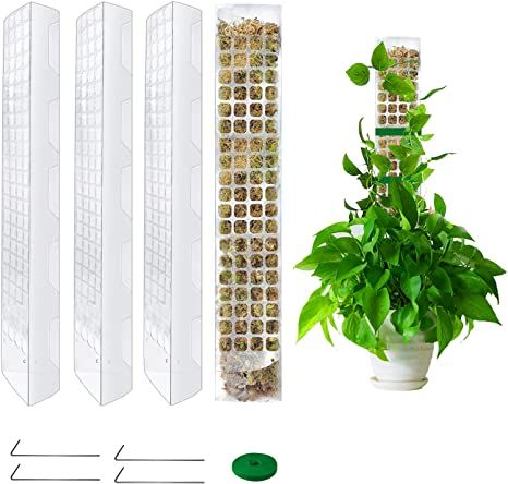 Indoor Climbing Plants, Plants Monstera, Creepers Plants, Moss Pole, Indoor Climbing, Sphagnum Moss, Support Plante, Plant Stand Indoor, Climbing Vines