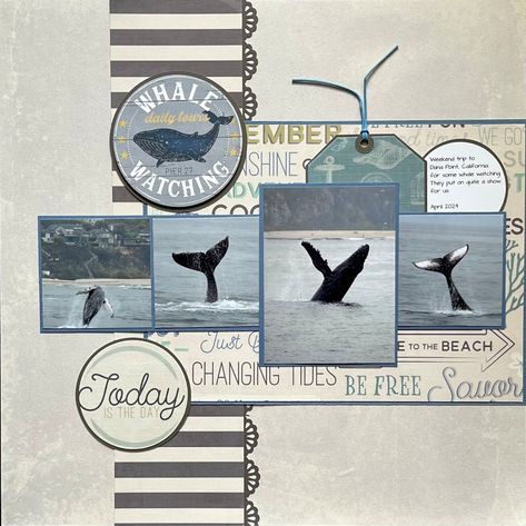 Whale Watching - Scrapbook.com Whale Watching Scrapbook Layouts, Alaska Camping, Alaska Scrapbook, Hawaii Scrapbook, Beach Scrapbook Layouts, Camping Holidays, Cruise Scrapbook, Holographic Paper, Beach Scrapbook