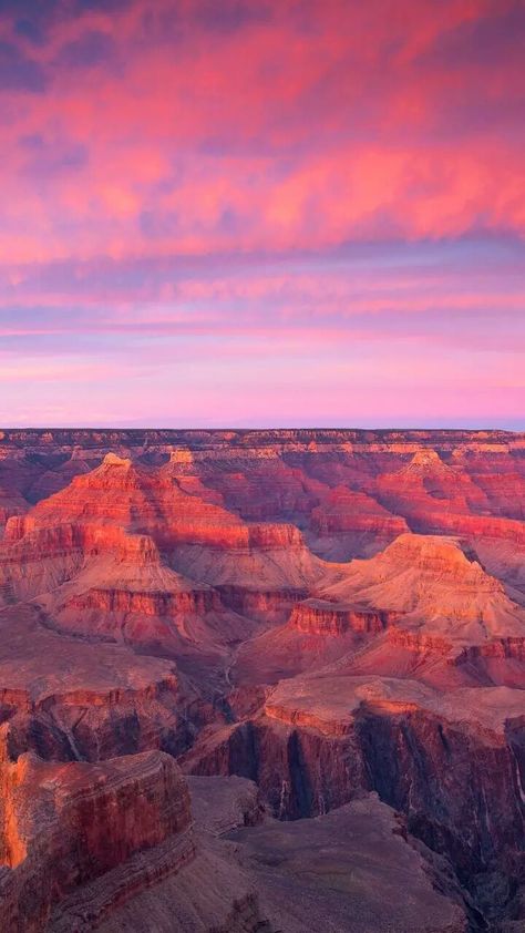 Grand Canyon Wallpaper, Canyon Wallpaper, Iphone Best Wallpaper, Nature Composition, Grand Canyon Sunset, Iphone X Wallpaper, Oneplus Wallpapers, X Wallpaper, Wallpaper For Android