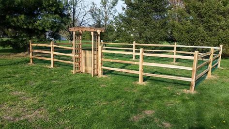 Split Rail Fence Garden, Split Rail Fence Ideas, Backyard Fence Landscaping, Cedar Arbor, Backyard Fence Decor, Split Rail Fence, Fence Plants, Glass Fence, Green Fence