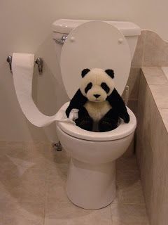 Even pandas use Bum Boosa Toilet Paper! Panda Pfp, Funny Panda Pictures, Panda Lindo, Panda Funny, Panda Art, Too Funny, Santa's Little Helper, Bear Pictures, Sweetie Pie