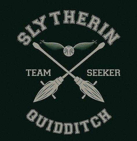 Hogwarts Green Aesthetic, Draco Malfoy Profile Picture, Slytherin Pfp Aesthetic, Slytherin Profile Picture, Slytherin Widgets, Slytherin Quidditch Aesthetic, Harry Potter Profile Picture, Slytherin Pfp, Dark Slytherin Aesthetic