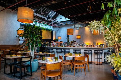 Brooklyn's 11 best new restaurants of 2022 - Brooklyn Magazine Best Bars In Brooklyn, Carroll Gardens Brooklyn, Good Meals, Bohemian Hotel, Hotel Hoxton, Ramen Restaurant, Fulton Street, Bed Stuy, Family Restaurants