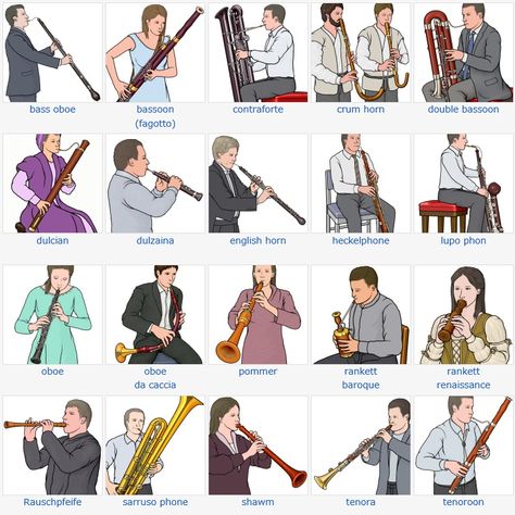 Basson Instrument, Musical Instruments Clipart, Orchestra Instruments, Oboe Reed, Music Basics, Music Terms, Music Teaching Resources, Woodwind Instrument, Band Jokes