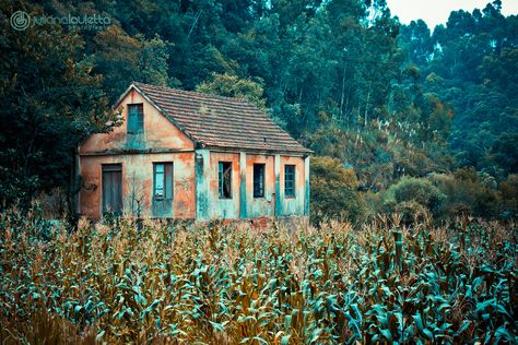 Corn Fields, Film Inspiration, Very Interesting, Urban Exploration, End Of The World, Abandoned Places, In The Middle, The Middle, The Road