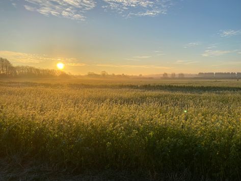 Sunrise over field in 2022, cute aesthetic, yellow plants, fields, views. Pictures Of The Sun, Field Wallpaper, Sunset Background, Country Landscaping, Beautiful Photos Of Nature, Yellow Aesthetic, Gods Creation, Purple Wallpaper, Yellow Background