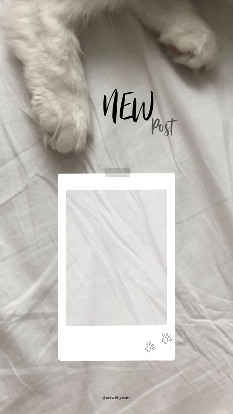 Dog Instagram Story Template, Cat Story Instagram Ideas, Cat Instagram Story, Photography Frame, Frames Design Graphic, Frames Design, One Word Instagram Captions, Dog Instagram, Dog Background