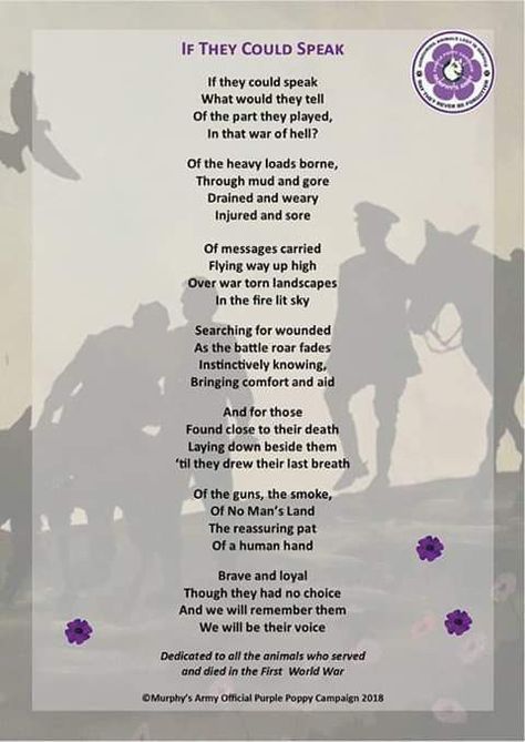 Beautiful words to remember all the animals that served and died in the First World War. They played an integral part and should never be forgotten. Remembrance Day Poems, Remembrance Day Pictures, Remembrance Day Quotes, Anzac Poppy, Animal Poems, Poppy Day, Remembrance Day Art, Sunday Prayer, Patriotic Cross