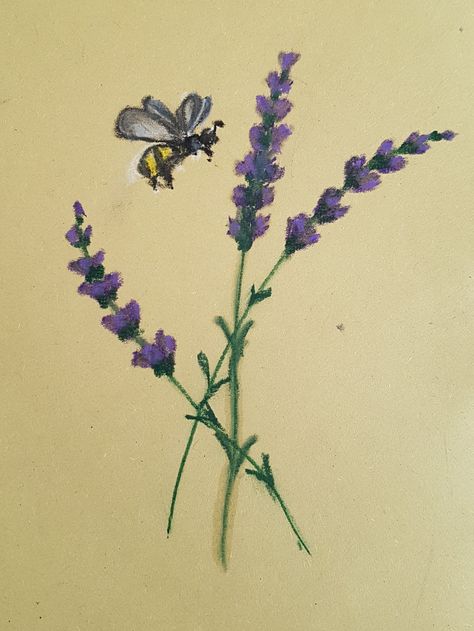 Lavender and Bee oil pastels The Secret Little House Lavender Sketch Simple, Bee Oil Pastel, Oil Pastel Art For Beginners, Lavender Plant Painting, Lavender Oil Pastel Art, Lavender Oil Pastel, Lavender Field Painting Easy, Lavender Oil Painting, Lavender And Bees Art