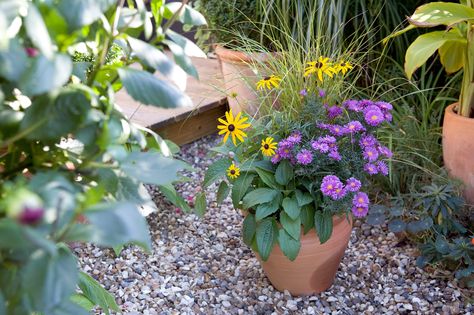 Check out these colourful autumn container ideas, planted up with a variety of flowering perennials and evergreens – from BBC Gardeners' World Magazine. Small Garden With Pool Ideas, Bee Things, Fairy Lights In Trees, Flowering Perennials, Ornamental Cabbage, Container Ideas, Backyard Water Feature, Fall Planters, Fast Growing Trees