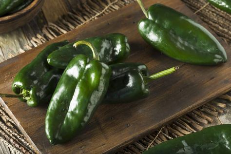 Poblano Peppers: Mexico's Mild Chili - PepperScale Mole Poblano, Poblano Pepper, Chili Relleno, Stuffed Anaheim Peppers, Chile Poblano, Hot Pepper Seeds, Chile Guajillo, Mole Sauce, Poblano Peppers