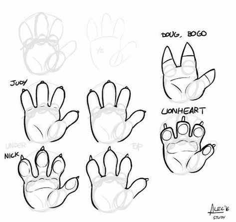 How To Draw Paws, Drawing Ideas Animals, Animals Disney, How To Draw Animals, Paw Hand, Paw Drawing, Disney Drawing, Walpapers Cute, Hand Drawing Reference