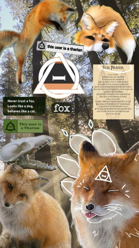 Fox Background, Therian Wallpaper, Fox Therian, Fox Pictures, Cat Mask, Like A Cat, Cute Fox, Summer Wallpaper, Red Fox