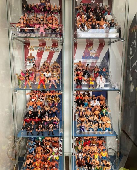 Wrestling Figures Display, Figures Display Ideas, Action Figures Display, Figures Display, Wwe Figures, Wwe Action Figures, Wrestling Wwe, Hobby Room, Childhood Toys