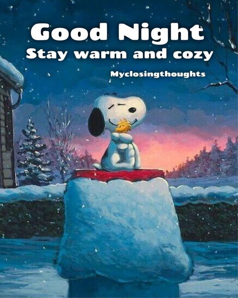 Good Night Stay Warm, Cold Good Night, Good Night Winter Images, Monthly Greetings, Goodnight Sweetheart, Sweet Dreams Sleep Tight, Good Night Meme, Goodnight Snoopy, Evening Blessings