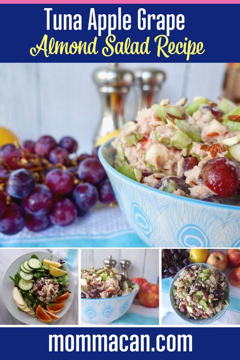 Need a refreshing tuna salad recipe to serve at brunch? Our Delicious Apple Grape Almond Tuna Salad Recipe is yummy! It has savory tuna, sweet apples, grapes and sliced almonds for an added crunch!  This recipe is perfect for family gatherings or to serve as a whole meal either in a sandwich or over salad greens.   #tuna #apple #grape Tuna Salads, What Is Healthy Food, Affordable Recipes, Healthy Foods To Make, Summer Prep, Sweet Apples, Healthy Food Habits, Salad Greens, Tuna Salad Recipe