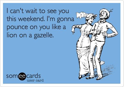 I can't wait to see you this weekend. I'm gonna pounce on you like a lion on a gazelle. Seeing You Quotes, Things I Have Done, Ldr Quotes, Excited To See You, Like A Lion, Special Quotes, Dirty Mind, A Lion, Finding Love