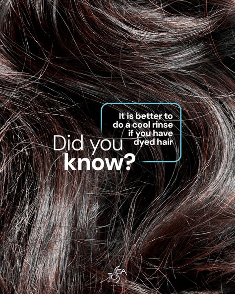 Did you know? For those with dyed hair, opting for a cool rinse is the way to go! 🌿 Cool water helps seal the hair cuticle, locking in color and preventing premature fading. 

Elevate your haircare routine and preserve your vibrant color with Tosca Style's tips and products. Discover more at toscastyle.com. 

#voluminoushair #thickerstrands #hairbounce #volumeboost #hairdensity #fullerhair #hairlifting #bouncylocks #hairtexture #volumeproducts Salon Marketing Social Media, Shampoo Product, Posh Hair, Hair Advertising, Hair Ads, Hair Salon Marketing, Hair Science, Hair Solution, Luxury Hair Care