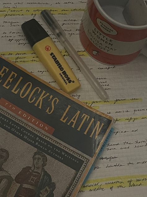 Learning Latin Aesthetic, Studying Latin Aesthetic, Latin Student Aesthetic, Latin Study Aesthetic, Latin Language Aesthetic, Learning A New Language Aesthetic, Sharoncore Aesthetic, Studying Languages Aesthetic, Bilingual Aesthetic