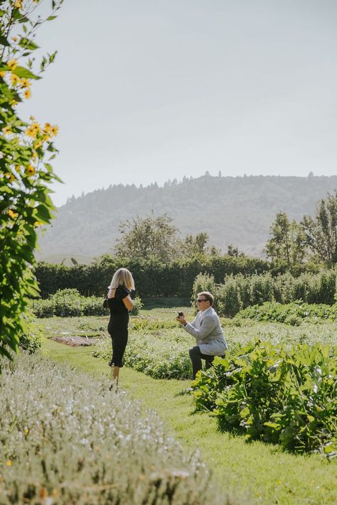 rebeccaskidgelphotography-napavalley-napa-valley-winecountry-yountville-thefrenchlaundrygardens-thefrenchlaundry-gardens-tfl-tflgardens-winecountryproposal-napaproposal-napavalleyproposal-vineyards-olive-trees-olivetrees-proposal-photographer-proposalphotographer-vineyardphotoshoot-engaged-justengaged-engagementring-engagement-ring-laughing-happycouple-happy-couple-romantic-winery-hugging-proposalideas-proposalinspiration-ideas-inspiration-shesaidyes-holdinghands-vineyardshoot-engagedcouple Proposal Pics, Vineyard Engagement Photos, Proposal Inspiration, Temecula Wineries, Napa Wineries, The French Laundry, Couple Romantic, French Laundry, Napa Wedding