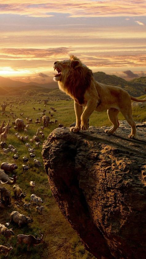 King Wallpaper, Wildlife Wallpaper, Forest Book, Il Re Leone, Lion King Movie, Lion Wallpaper, Lion King Art, Lion Images, Lion Pictures