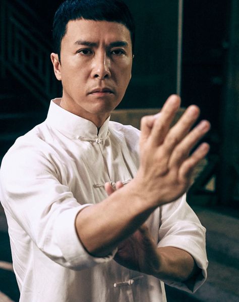 Donnie Yen Ip Man, Ip Man Movie, Donnie Yen Movie, Wing Chun Martial Arts, Dung Beetle, Bruce Lee Martial Arts, Wing Chun Kung Fu, Martial Arts Film, Art Stars