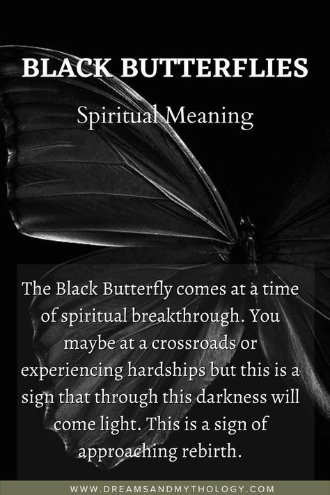 Spiritual Breakthrough, The Black Butterfly, Butterfly Meaning, Symbols And Their Meanings, Black Butterfly Tattoo, Black Butterflies, Butterfly Quotes, Spiritual Journals, Dream Symbols