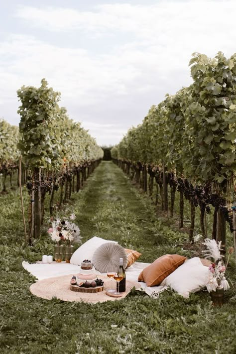 Lief Vir Jou, Picnic Photography, Wine Picnic, Tuscany Style, Wine Photography, Garden Picnic, Outdoor Picnic, Marriage Proposals, Vineyard Wedding