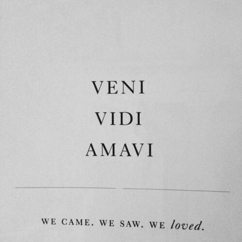 Veni Vidi Amavi Latin for "I came, I saw, I loved" Veni Vidi Amavi, Fina Ord, French Quotes, Three Words, Amazing Quotes, Infj, Instagram Captions, Pretty Words, Art Director