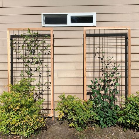 DIY Flower Trellis Diy Wall Trellis Outdoor, Hog Wire Trellis Diy, Wire Garden Trellis, Hog Wire Trellis, Rose Trellis Ideas Diy, Wall Trellis Ideas, Free Standing Trellis, Fence Trellis Ideas, Homemade Trellis