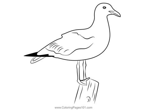 Seagull Standing On Log Coloring Page Seagull Outline, Draw Birds, Homeschool Preschool Activities, Sea Gull, Homeschool Preschool, Bird Drawings, Scroll Saw, Finger Tattoos, Punch Needle