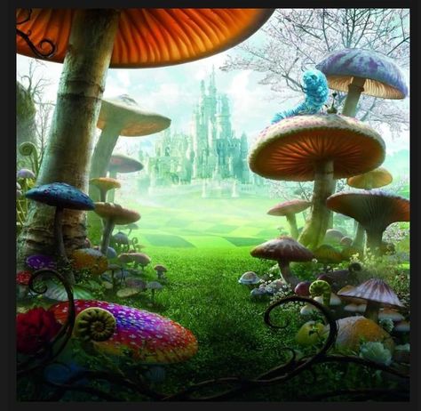 Photo backdrop Enchanted Mushroom Forest, Alice In Wonderland Background, Enchanted Mushroom, Mushroom Background, Alice In Wonderland Aesthetic, Mushroom Forest, Foto Art, Mushroom Art, Studio Background