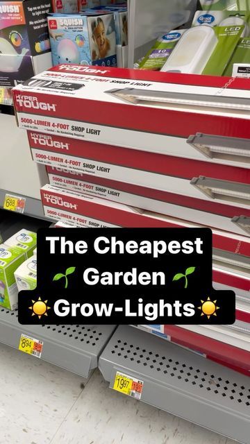 Gary Pilarchik (TRG) on Instagram: "*CORRECTION 8$ a YEAR! People asked what lights work… I’ve been using lights like this for 10 years. The white LEDs are for growing garden transplants that will be put outside. You can spend more money on fancier systems but you don’t need to, for basic garden transplants. This is all you need… 🌱 5000 Lumens or higher. 5000 Kelvin or higher. 2 strips of while LEDs per light. Make sure it has a wall plug. ☀️ Follow me in 2023 and I’ll show you how to grow and Houseplant Grow Light Ideas, Inexpensive Grow Lights, Diy Grow Light Shelf, Indoor Herb Garden Setup, Grow Room Ideas Indoor, Grow Light Set Up, Indoor Grow Light Ideas, Pendant Grow Light, Grow Light Ideas