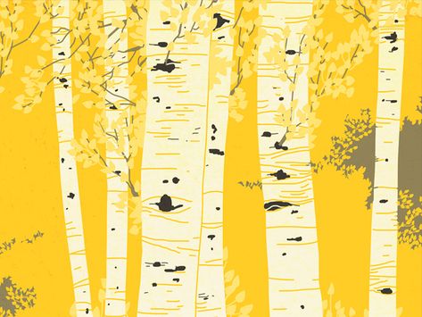 Tree Tattoo Drawings, Aspen Trees Tattoo, Birch Tree Tattoos, Aspen Trees Painting, Tree Drawing Simple, Quaking Aspen, Aspen Art, Forest Drawing, Birch Tree Art