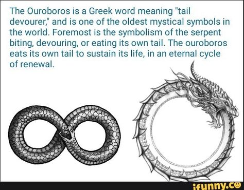 Found on iFunny Snake Symbolism, The Ouroboros, Ouroboros Tattoo, Mystical Symbols, Eternal Return, Old Symbols, Spirit Science, The Serpent, Symbols And Meanings